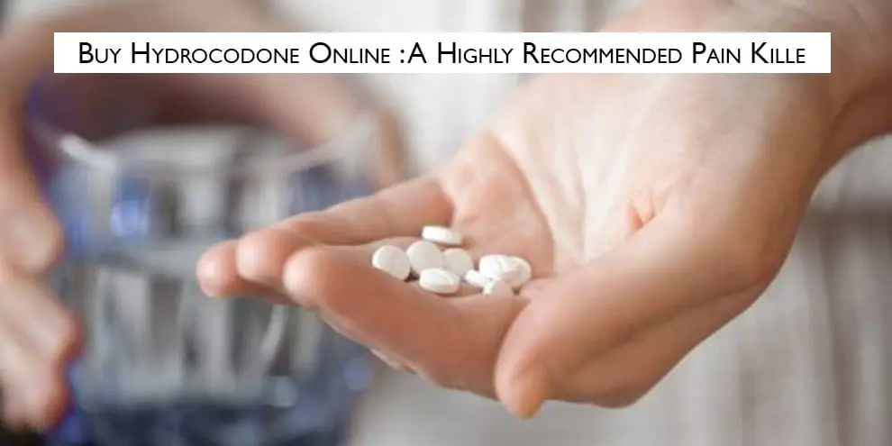 Hydrocodone Highly Pain Killer
