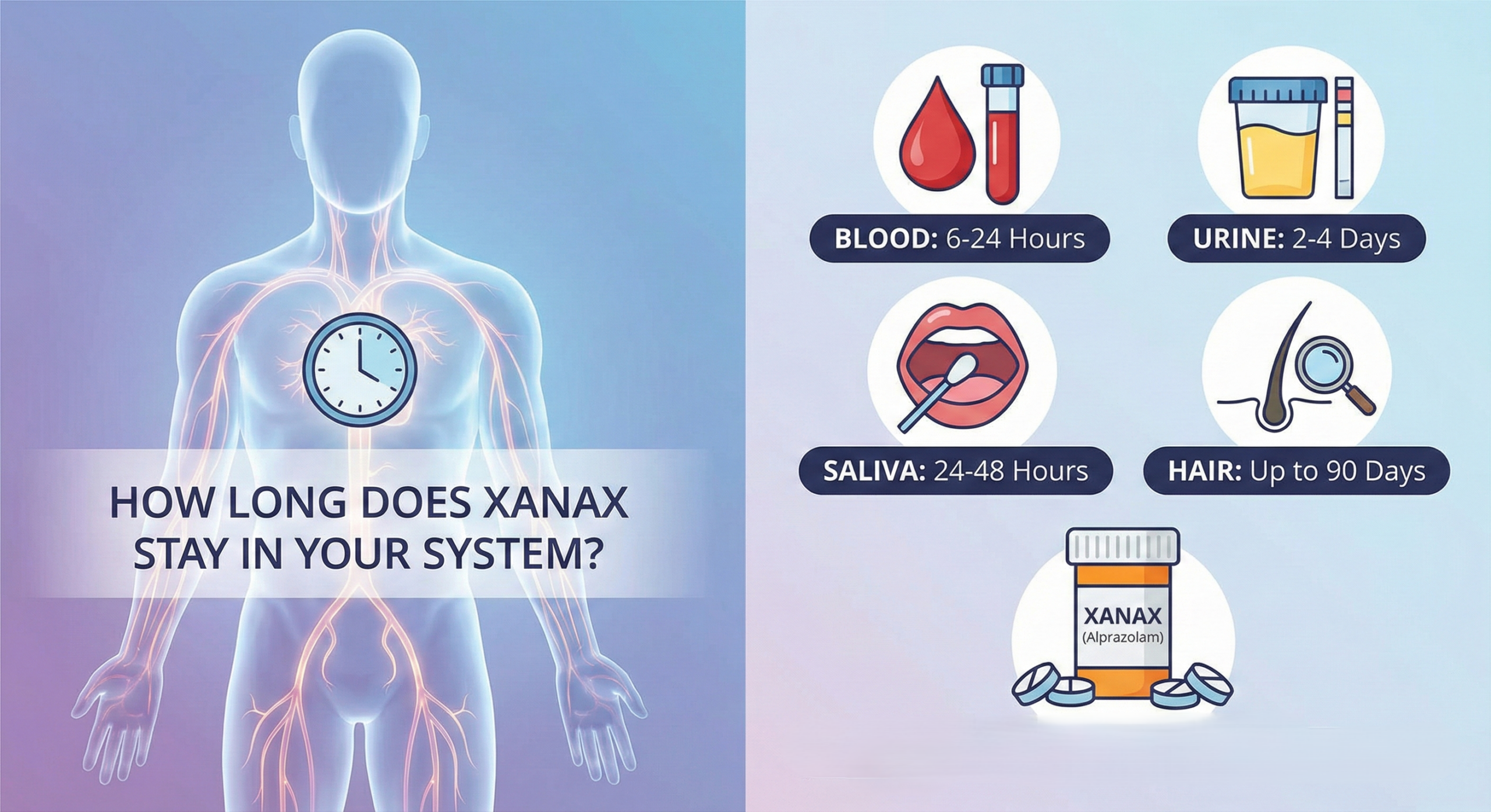 How Long Does Xanax Stay in Your System and Urine blog feature image scaled