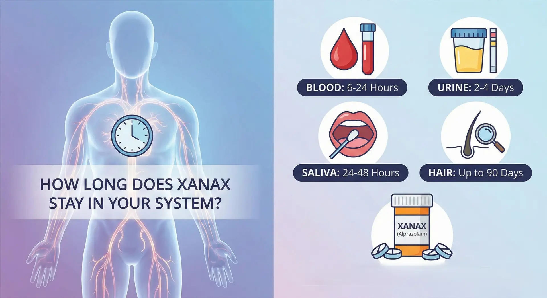 How long Does Xanax stay in your System and Urine
